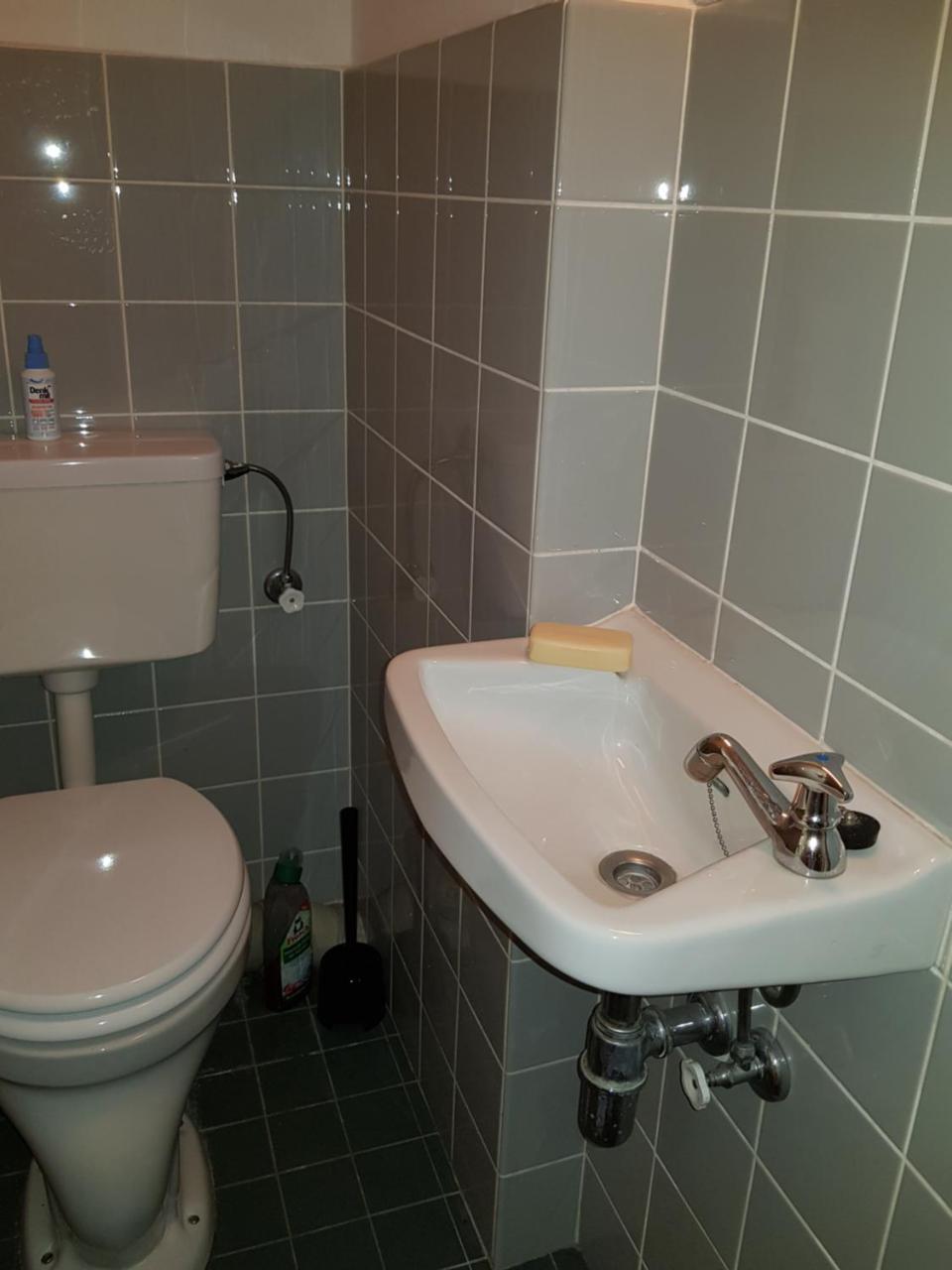 Apartment Mit Blick Auf Das Eversten Holz 42Qm Oldenburg Buitenkant foto